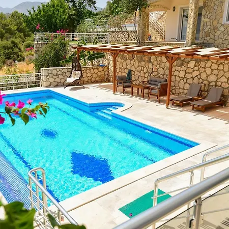 Moonlight فيلة *