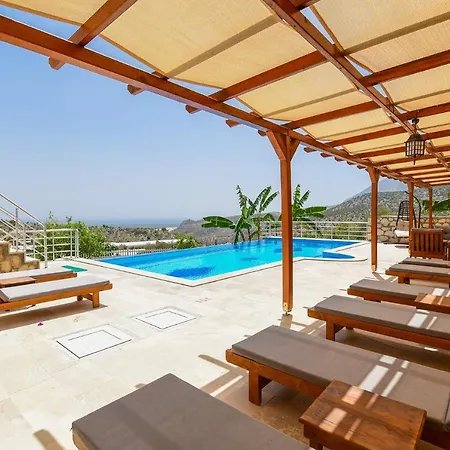 Moonlight فيلة *