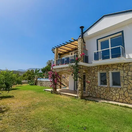 Moonlight فيلة *