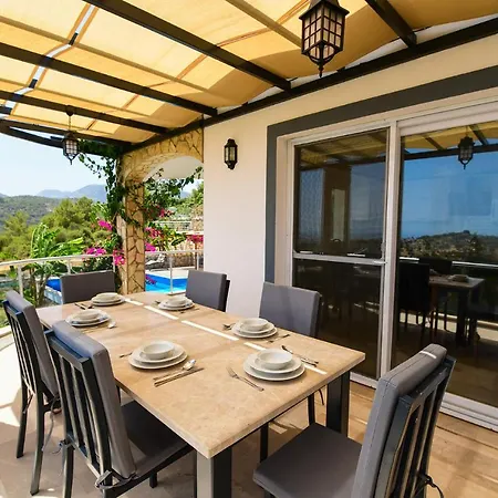 Moonlight فيلة *